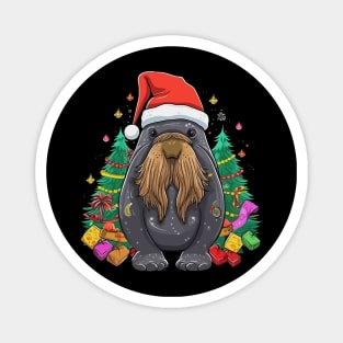 Walrus Christmas Magnet